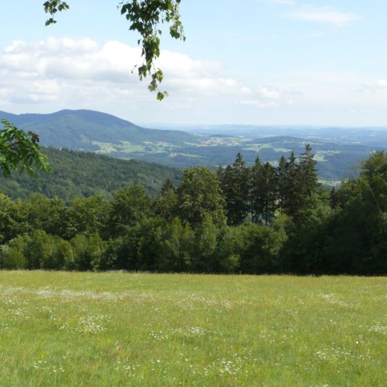 © Naturpark Bayerischer Wald