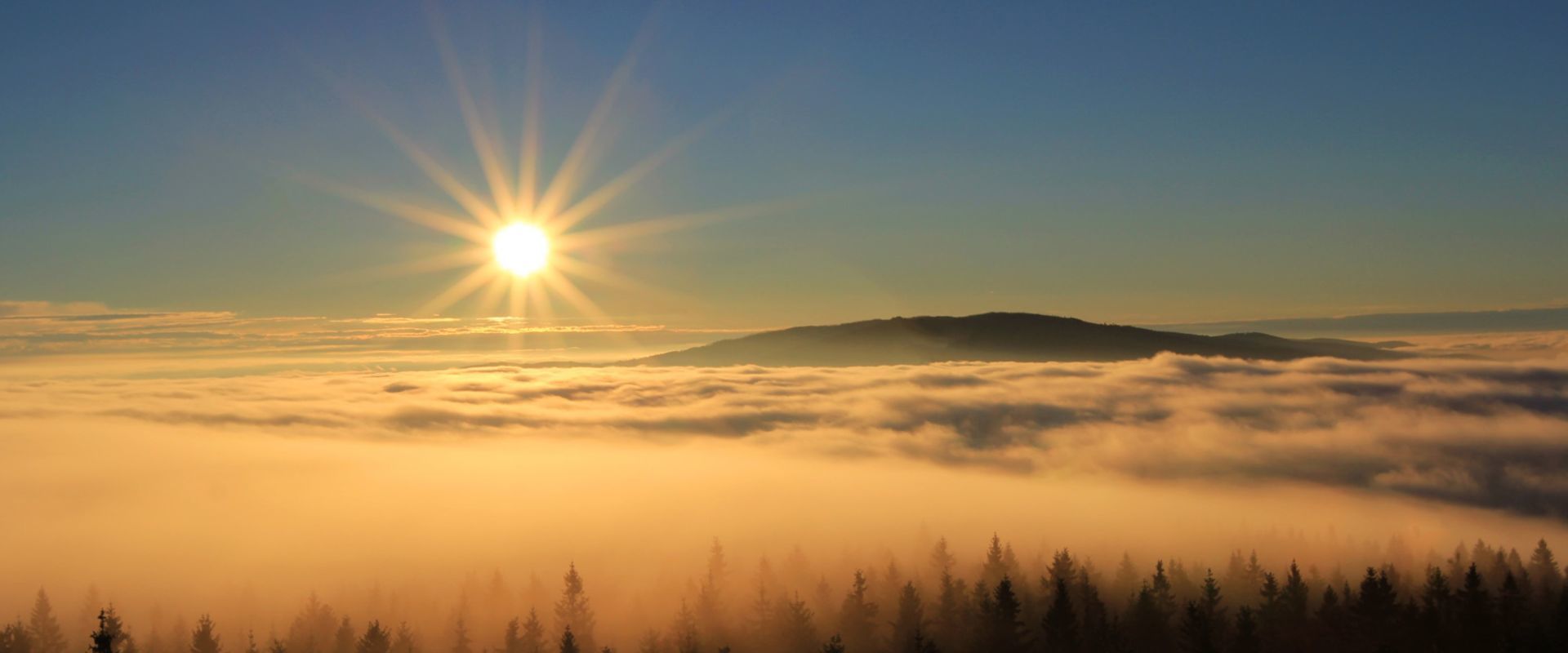 Auf dem Haidelgipfel. Bildautor Dr. Fritz Haselbeck