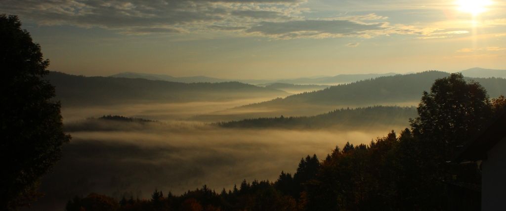 Innerer Bayerischer Wald