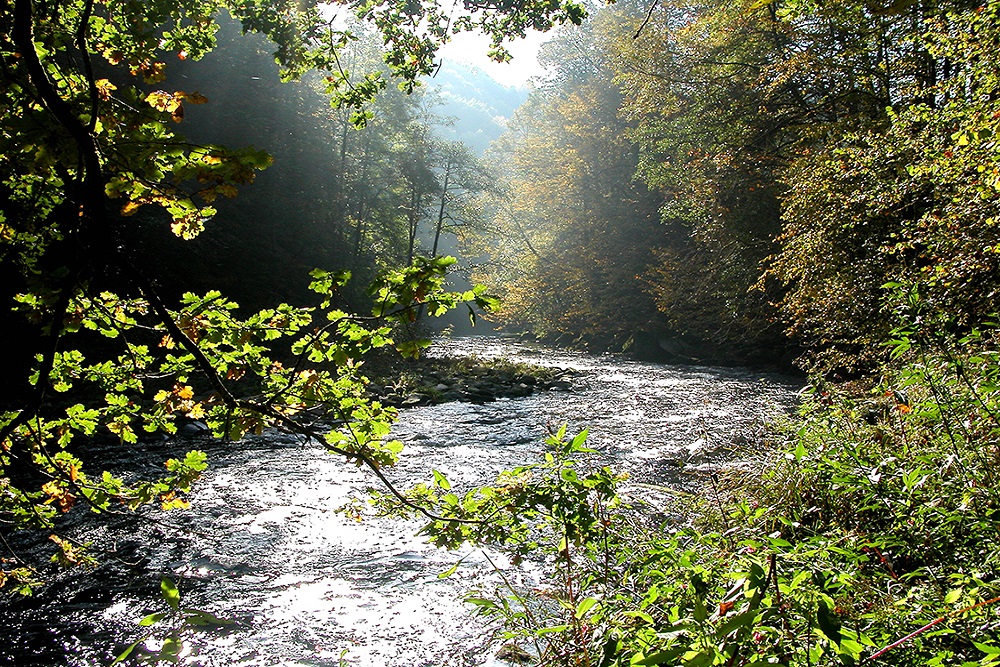 Naturpark Bayerischer Wald - Der Naturpark Bayerischer Wald