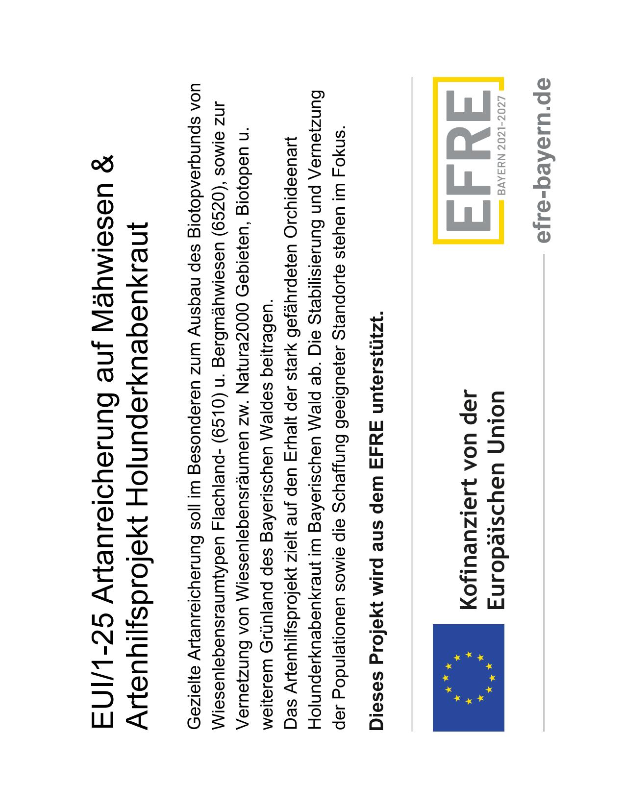 EFRE Plakat EUI/1-2025