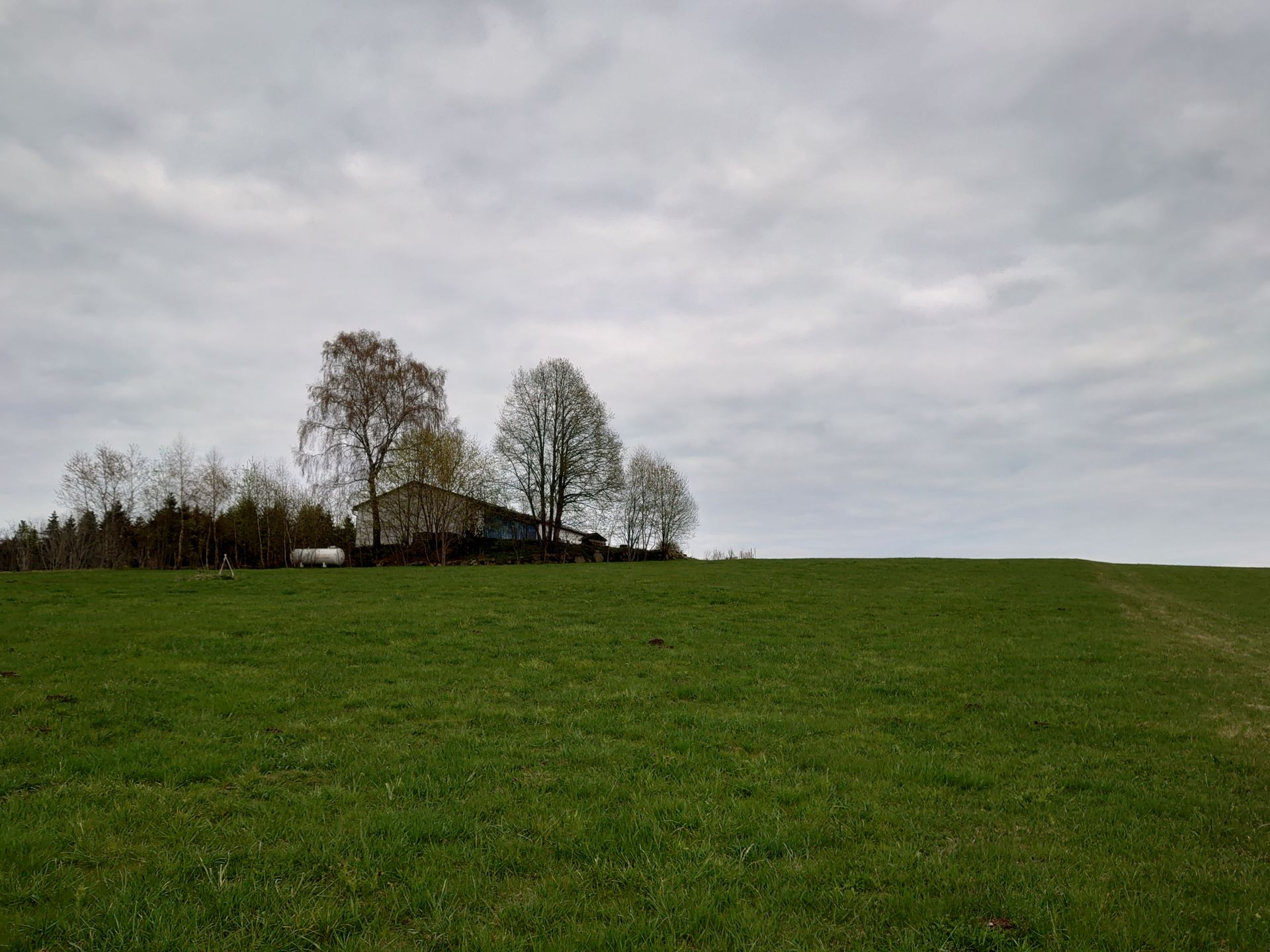 Vielschnittwiese vor Artanreicherung